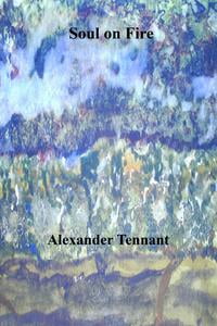 Soul On Fire Ebook